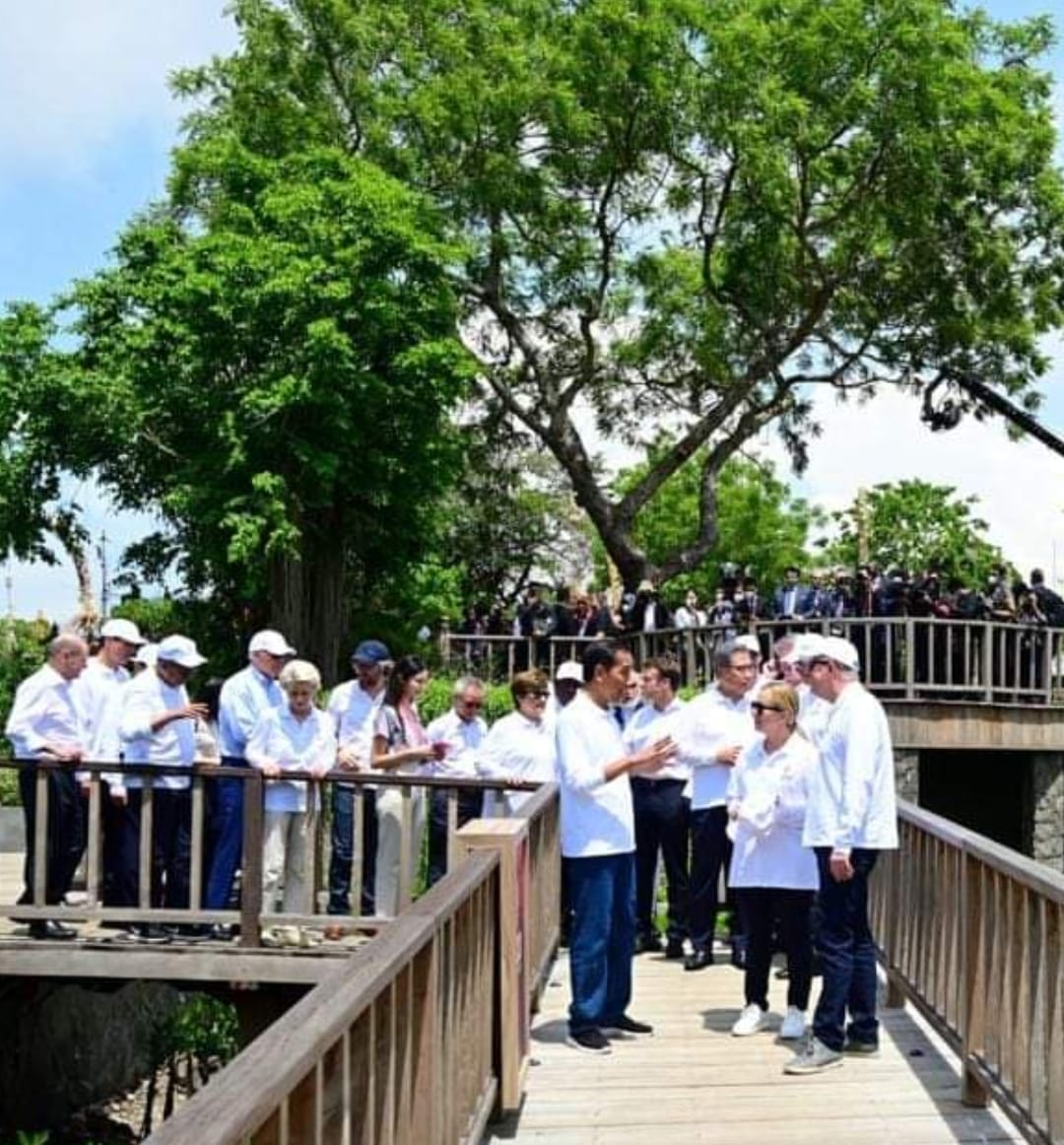 Sejumlah Pemimpin Negara G 20 yang sedang mengikuti kegiatan penanaman pohon mangrove