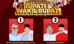 Pilkada Kabupaten Lampung Timur 2024